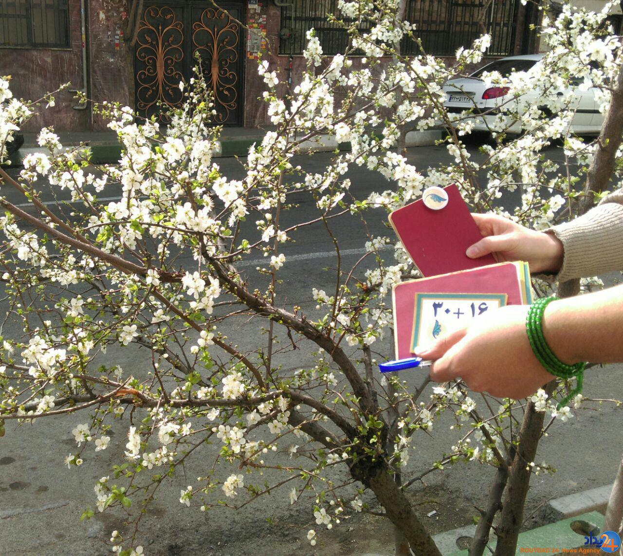 بهار اعتدال در راه است (تصویر) بهار اعتدال در راه است (تصویر)