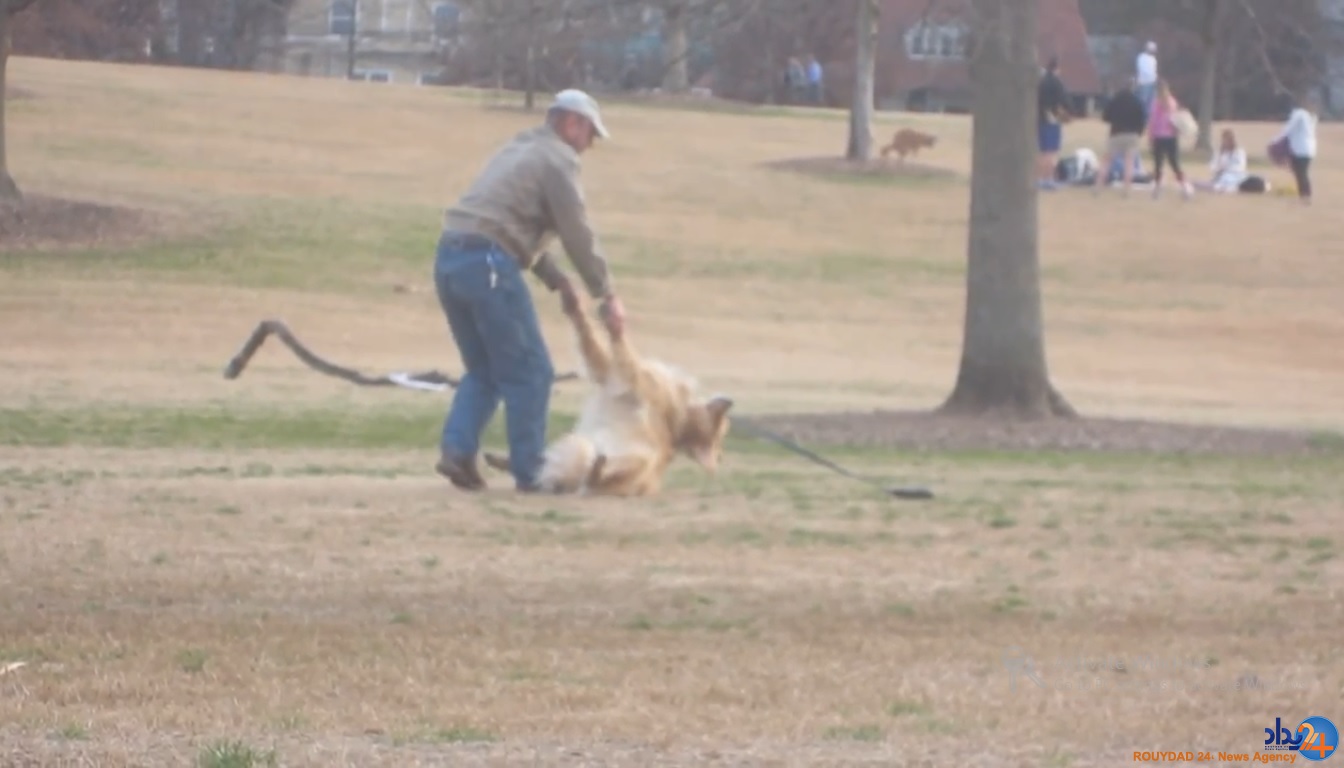 سگی که برای ماندن در پارک خود را به مردن زد (تصاویر و فیلم)