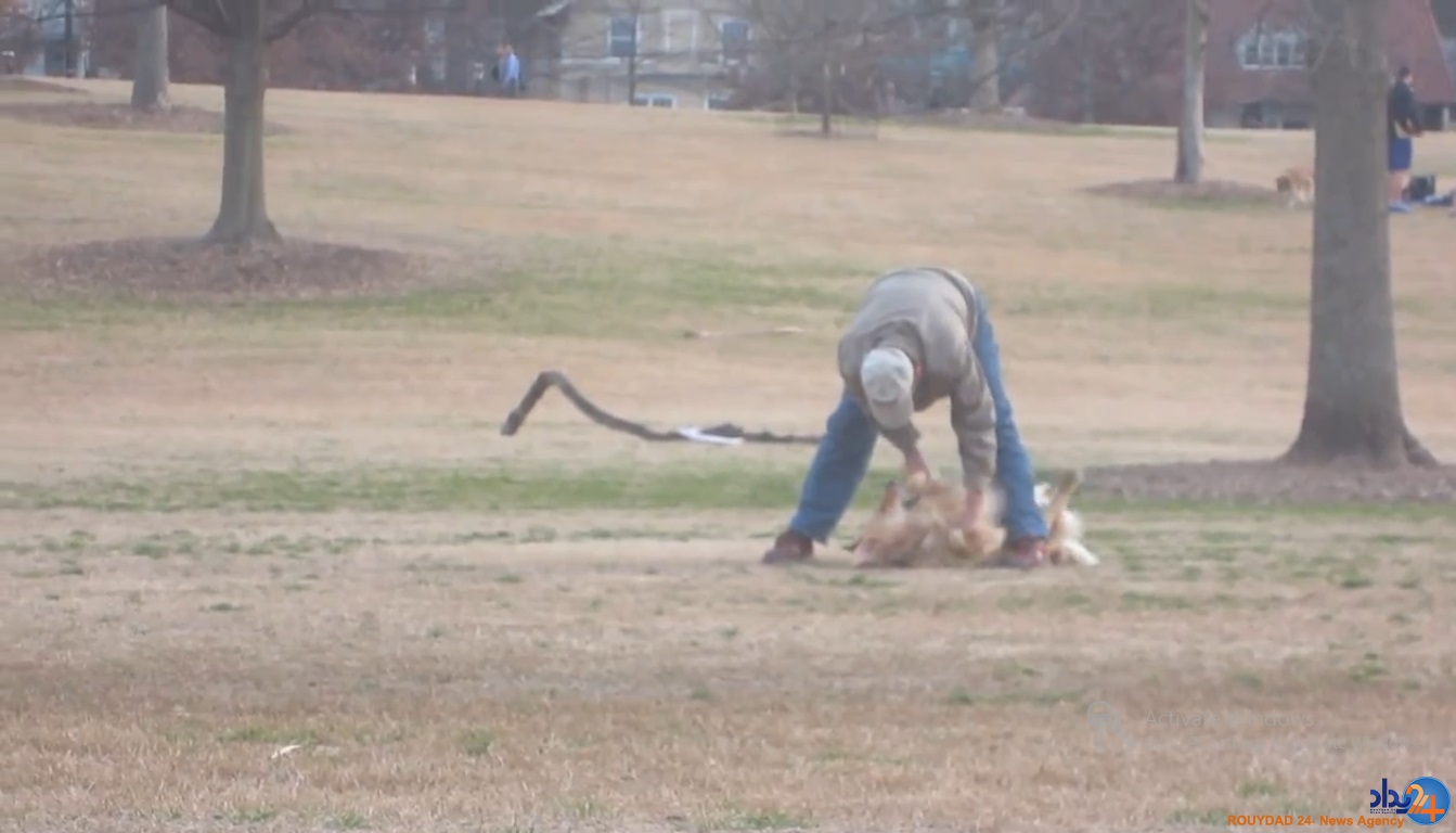 سگی که برای ماندن در پارک خود را به مردن زد (تصاویر و فیلم)