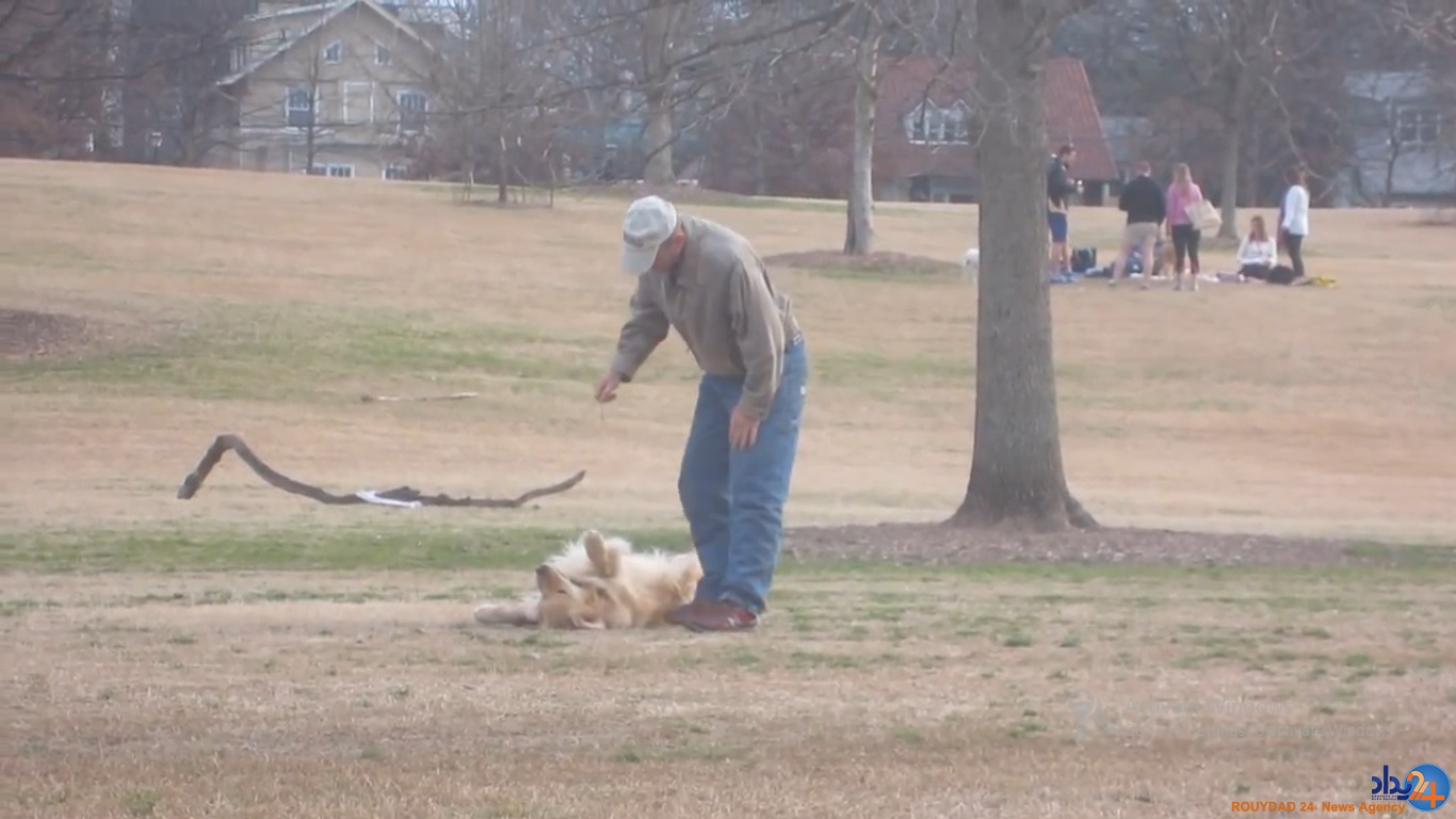 سگی که برای ماندن در پارک خود را به مردن زد (تصاویر و فیلم)