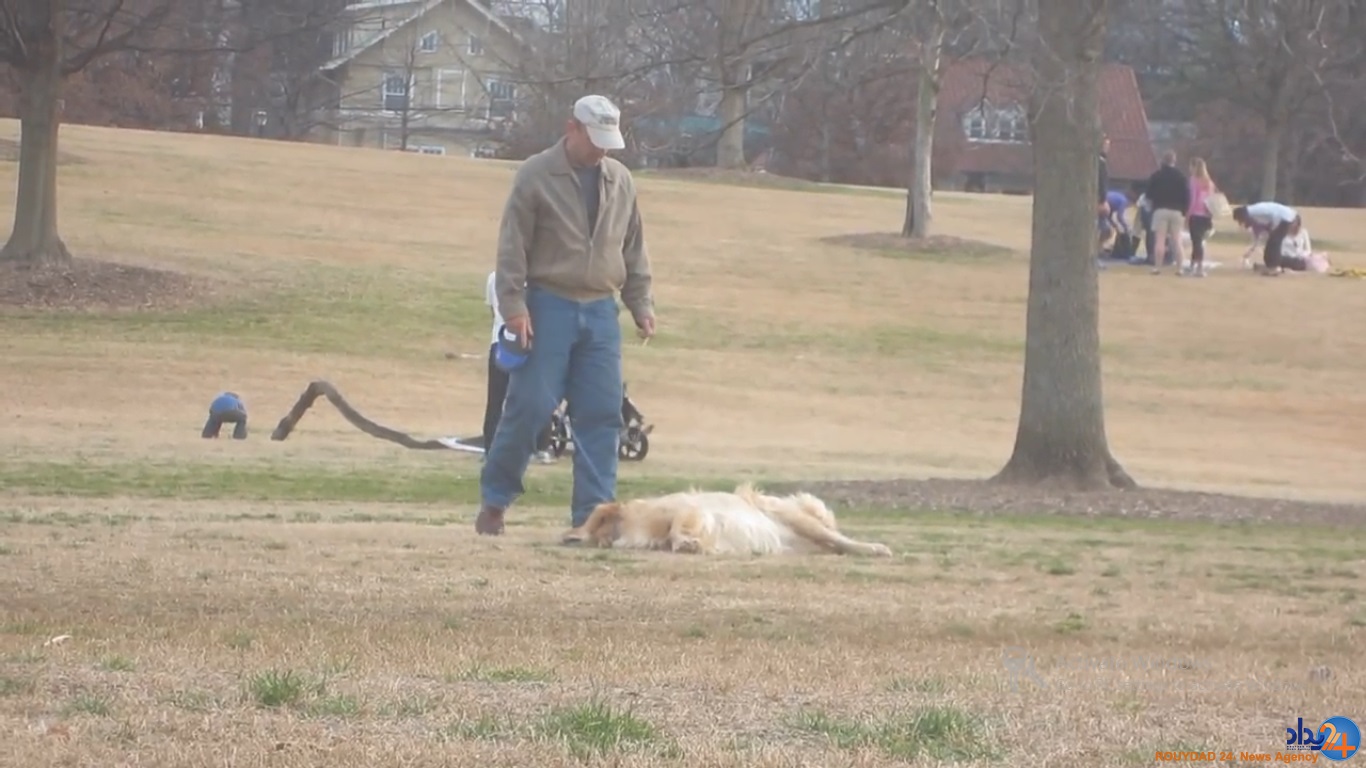 سگی که برای ماندن در پارک خود را به مردن زد (تصاویر و فیلم)
