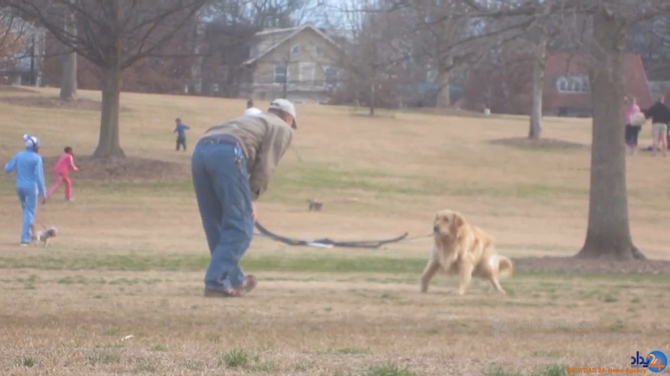 سگی که برای ماندن در پارک خود را به مردن زد (تصاویر و فیلم)