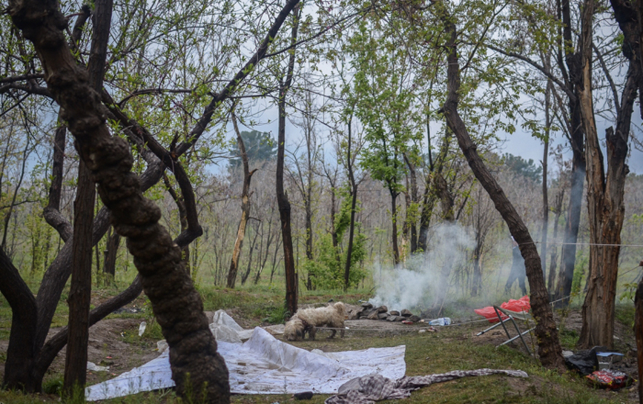 آلودگی محیط زیست در روز طبیعت (تصاویر) آلودگی محیط زیست در روز طبیعت (تصاویر)