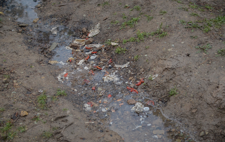 آلودگی محیط زیست در روز طبیعت (تصاویر) آلودگی محیط زیست در روز طبیعت (تصاویر)