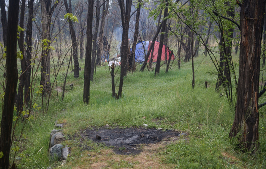 آلودگی محیط زیست در روز طبیعت (تصاویر) آلودگی محیط زیست در روز طبیعت (تصاویر)