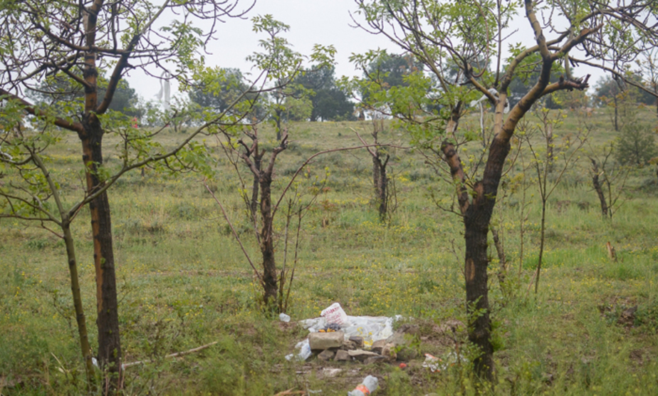 آلودگی محیط زیست در روز طبیعت (تصاویر) آلودگی محیط زیست در روز طبیعت (تصاویر)