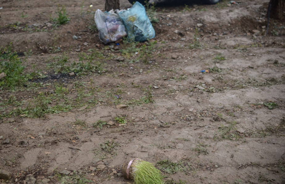 آلودگی محیط زیست در روز طبیعت (تصاویر) آلودگی محیط زیست در روز طبیعت (تصاویر)