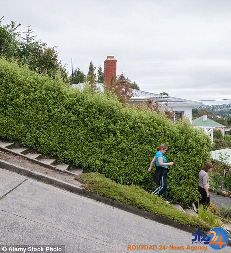 عجیب ترین جاده های روی زمین (تصاویر)