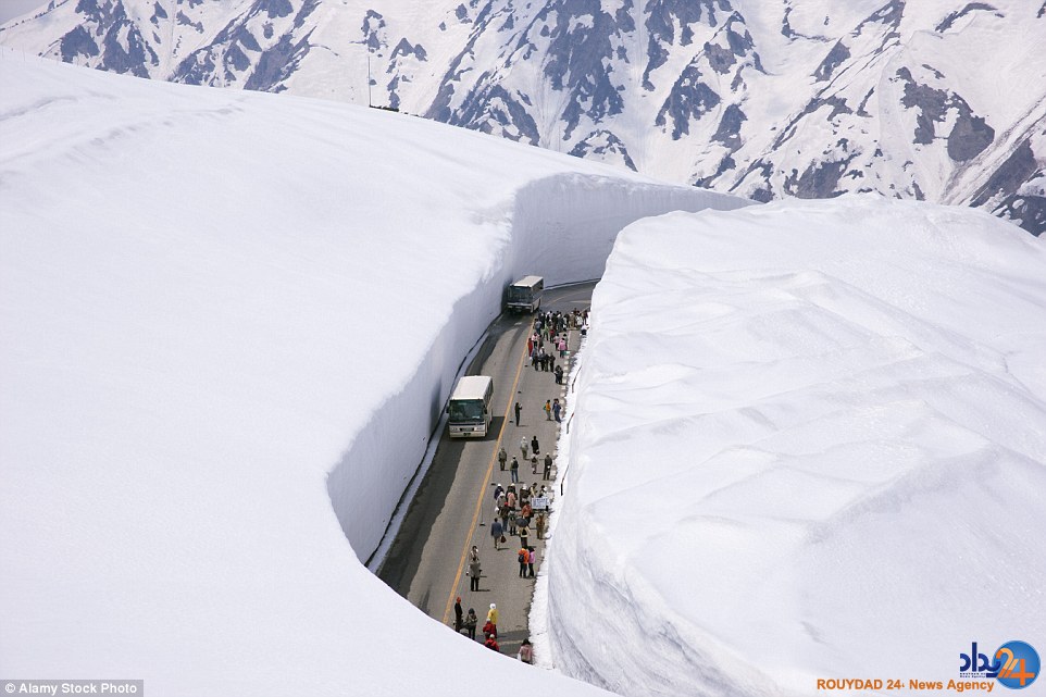عجیب ترین جاده های روی زمین (تصاویر)