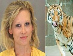 زنی که توسط ببر گاز گرفته شده بود، 250 دلار جریمه شد (تصویر)