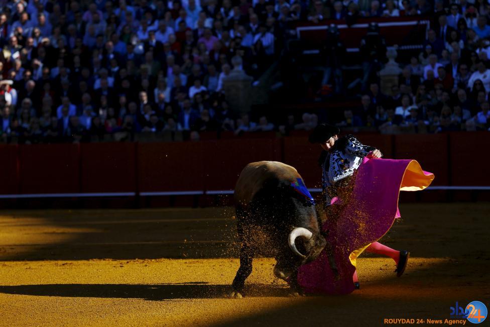 رقابت ماتادورها در ماسترانزا