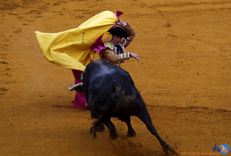 رقابت ماتادورها در ماسترانزا