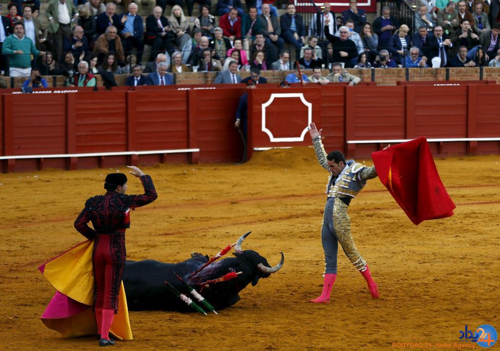 رقابت ماتادورها در ماسترانزا