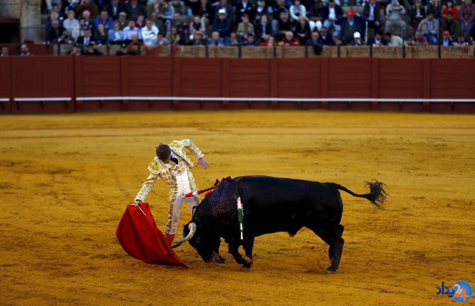 رقابت ماتادورها در ماسترانزا