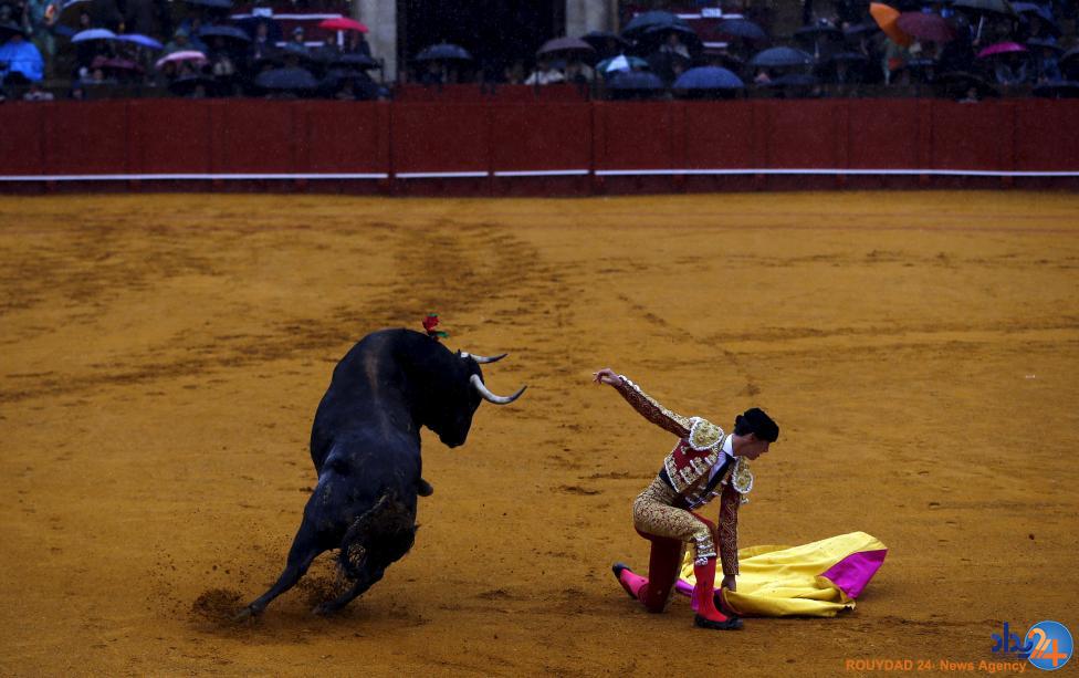 رقابت ماتادورها در ماسترانزا