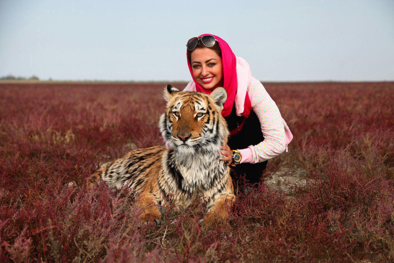 نفیسه روشن: باید به حیوانات ثابت کنیم که آن هارا دوست داریم/در قبال همه ی آفریده های خداوند مسئولیم/ کم کاری و کم لطفی از خودمان است نه سازمان محیط زیست/در حال حاظر تنها هدف ما تصويب قانون بر عليه حيوان آزاري است