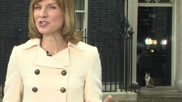 وزارت امور خارجه انگلیس برای مقابله با موشها، گربه استخدام کرد +(تصویر) وزارت امور خارجه انگلیس برای مقابله با موشها، گربه استخدام کرد +(تصویر)