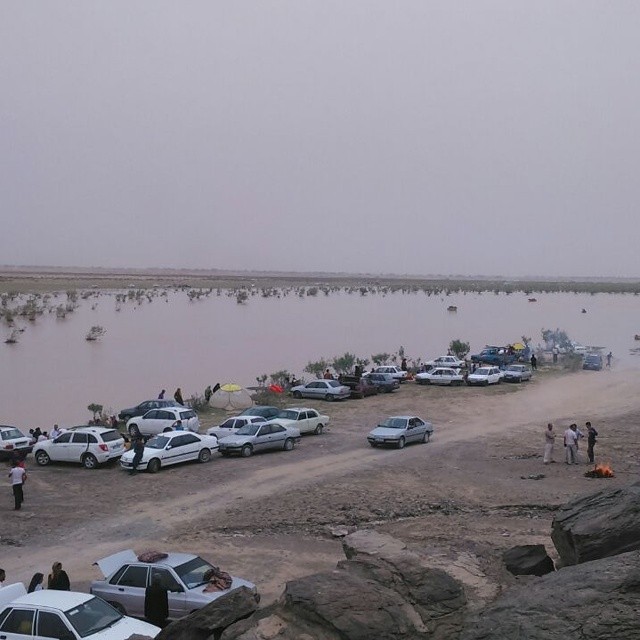 حال هامون این روزها خوب است! حال هامون این روزها خوب است!