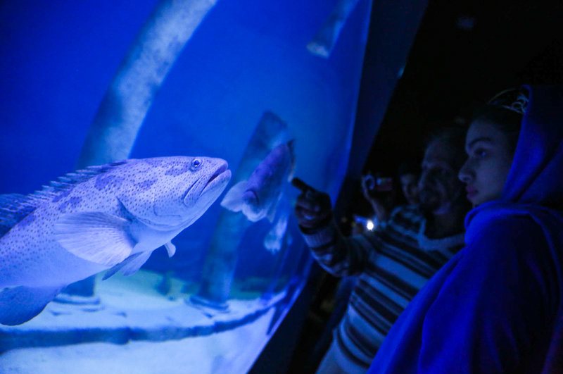 بازدید مسافران نوروزی از بزرگترین تونل آکواریوم ایران - اصفهان‎