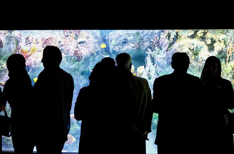 بازدید مسافران نوروزی از بزرگترین تونل آکواریوم ایران - اصفهان‎