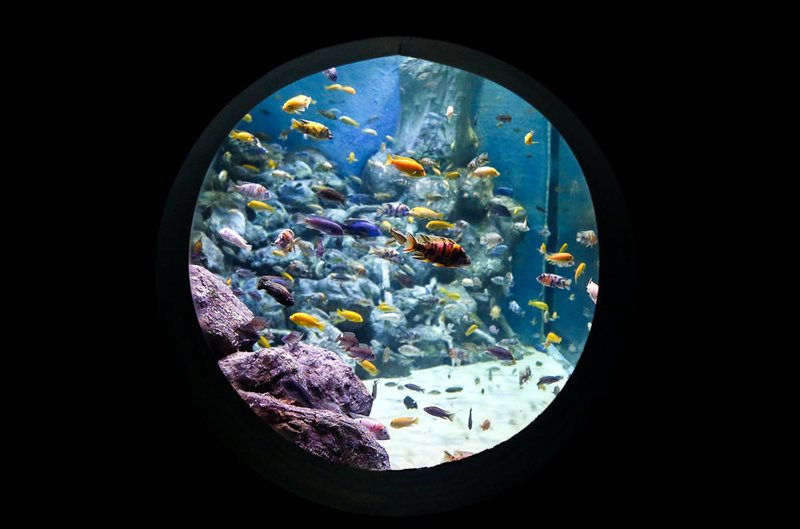 بازدید مسافران نوروزی از بزرگترین تونل آکواریوم ایران - اصفهان‎