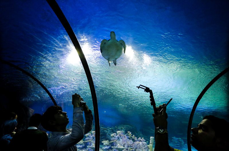 بازدید مسافران نوروزی از بزرگترین تونل آکواریوم ایران - اصفهان‎