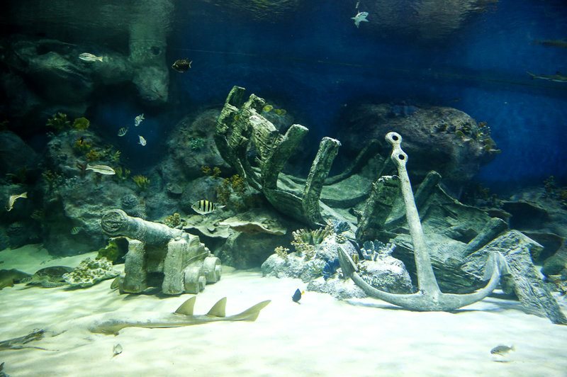 بازدید مسافران نوروزی از بزرگترین تونل آکواریوم ایران - اصفهان‎