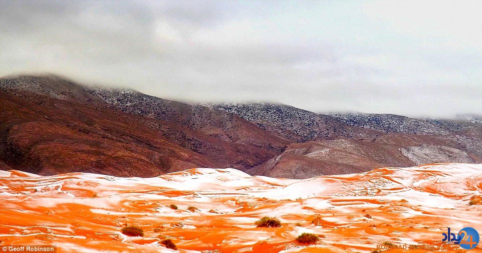 سفیدپوش شدن صحرای بزرگ آفریقا برای نخستین بار پس از 37 سال (تصاویر)