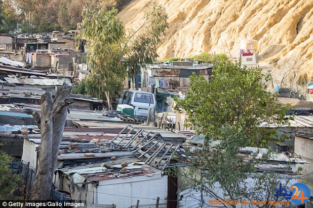 موش صحرایی دختر سهماهه را زندهزنده خورد (تصاویر) موش صحرایی دختر سهماهه را زندهزنده خورد (تصاویر)