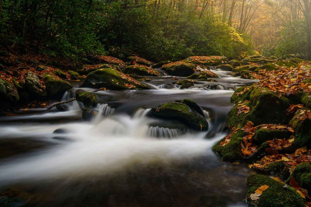 چرا من پس از سال‌ها عکاسی با دوربین نیکون به سمت سونی رفتم؟