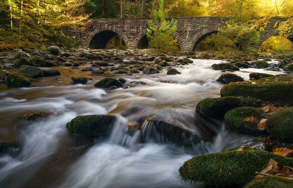 چرا من پس از سال‌ها عکاسی با دوربین نیکون به سمت سونی رفتم؟