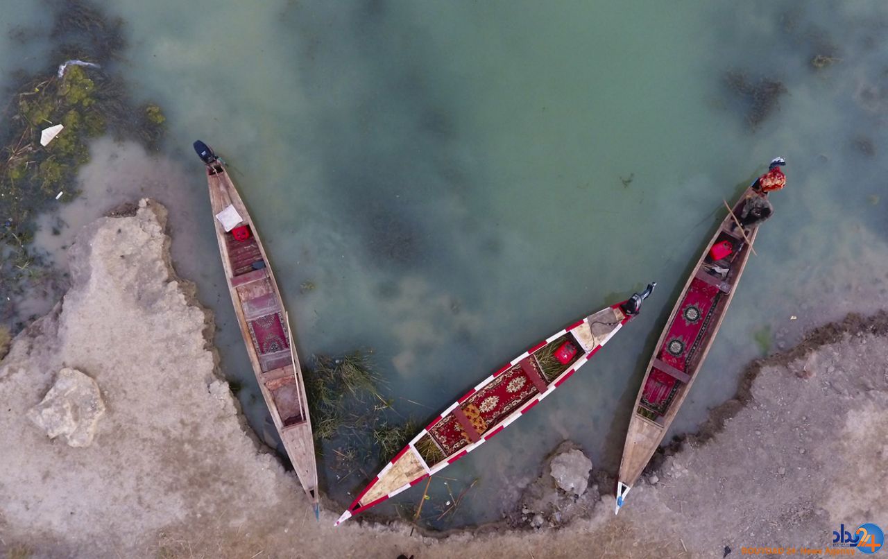 از یخ‌های شناور در مجارستان تا مرغان دریایی در ترکیه