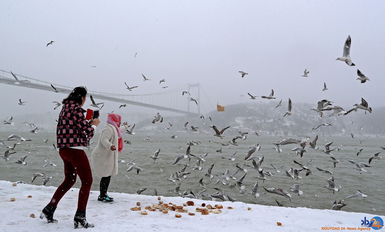 از یخ‌های شناور در مجارستان تا مرغان دریایی در ترکیه