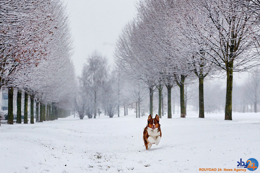 انسان، زمین و سرما