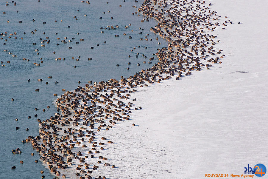 انسان، زمین و سرما