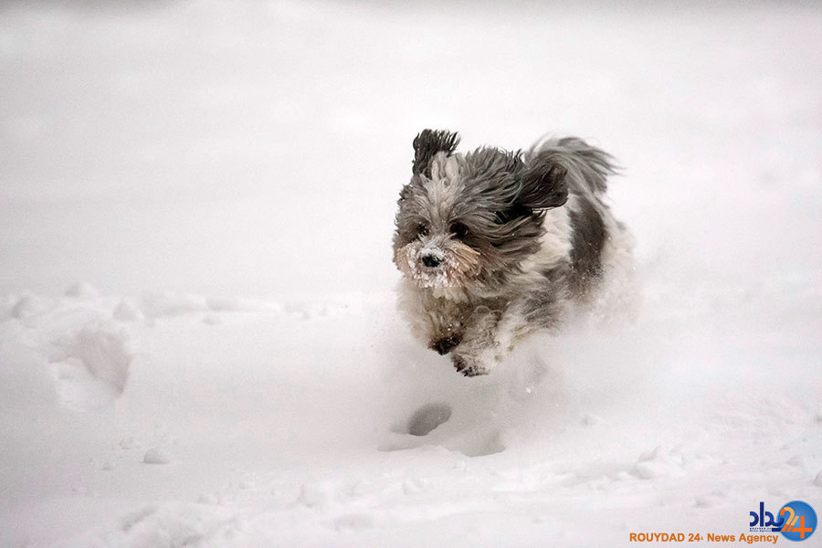 از دور کردن ارواح شیطانی در سوئیس تا خدای مردان نپالی از دور کردن ارواح شیطانی در سوئیس تا خدای مردان نپالی