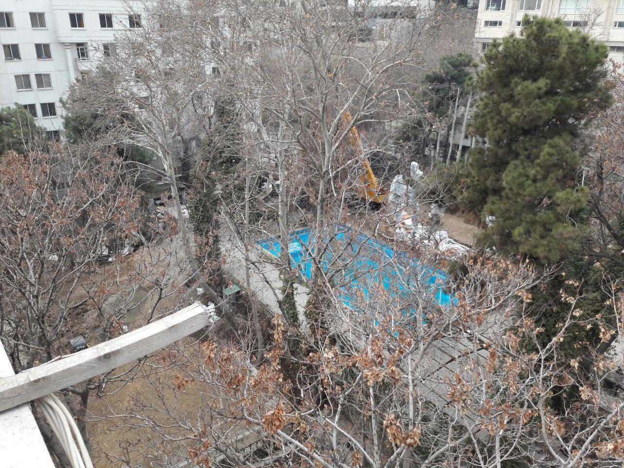 قطع درختان آخرین باغ الهیه قطع درختان آخرین باغ الهیه