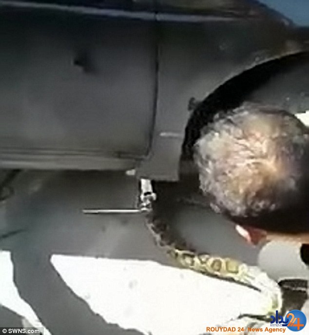 تلاش دو مرد برای بیرون کشیدن ماری که می‌خواست در موتور خودرو بماند (فیلم و تصاویر)