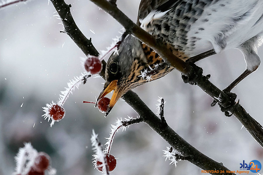ترامپ در موزه، کودکان در حال کار و فلسطین در سوگ