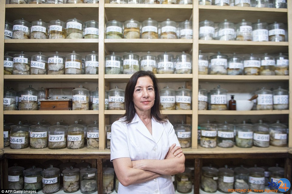 موزه‌ای با 3000 مغز که بیش از 300 سال قدمت دارد (تصاویر)