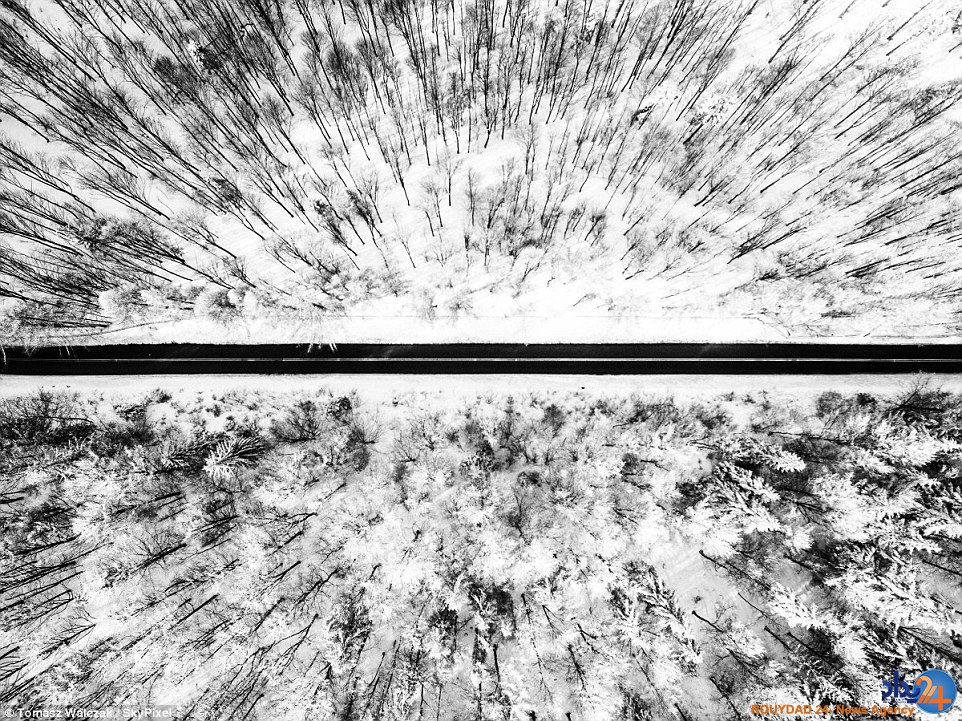 از مهاجرت گوزن ها از دریاچه یخ زده کانادا تا کلیساهای روسیه (تصاویر)