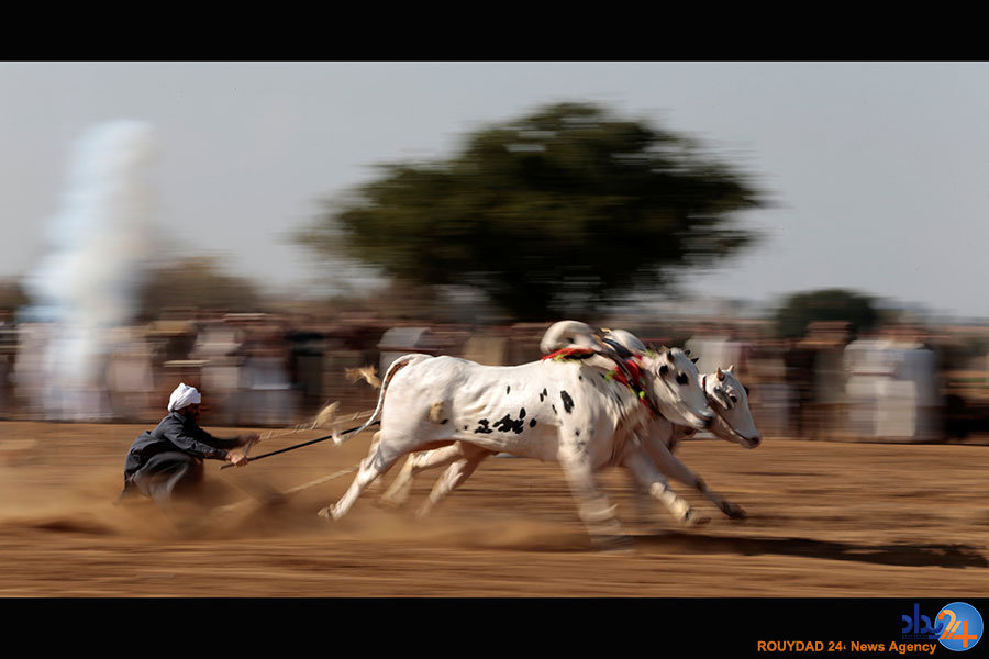 از آوارگان در عراق تا معترضان علیه ترامپ
