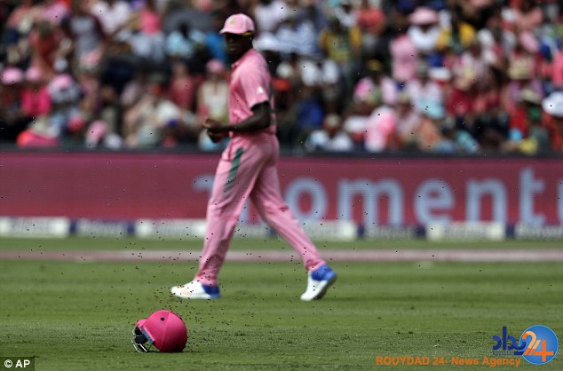 حمله زنبورها بازی کریکت آفریقای جنوبی و سریلانکا را متوف کرد (تصاویر) حمله زنبورها بازی کریکت آفریقای جنوبی و سریلانکا را متوف کرد (تصاویر)