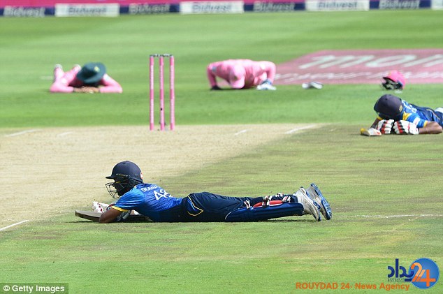 حمله زنبورها بازی کریکت آفریقای جنوبی و سریلانکا را متوف کرد (تصاویر) حمله زنبورها بازی کریکت آفریقای جنوبی و سریلانکا را متوف کرد (تصاویر)