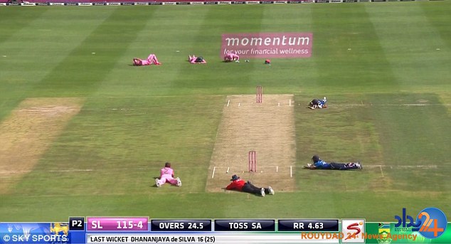 حمله زنبورها بازی کریکت آفریقای جنوبی و سریلانکا را متوف کرد (تصاویر) حمله زنبورها بازی کریکت آفریقای جنوبی و سریلانکا را متوف کرد (تصاویر)