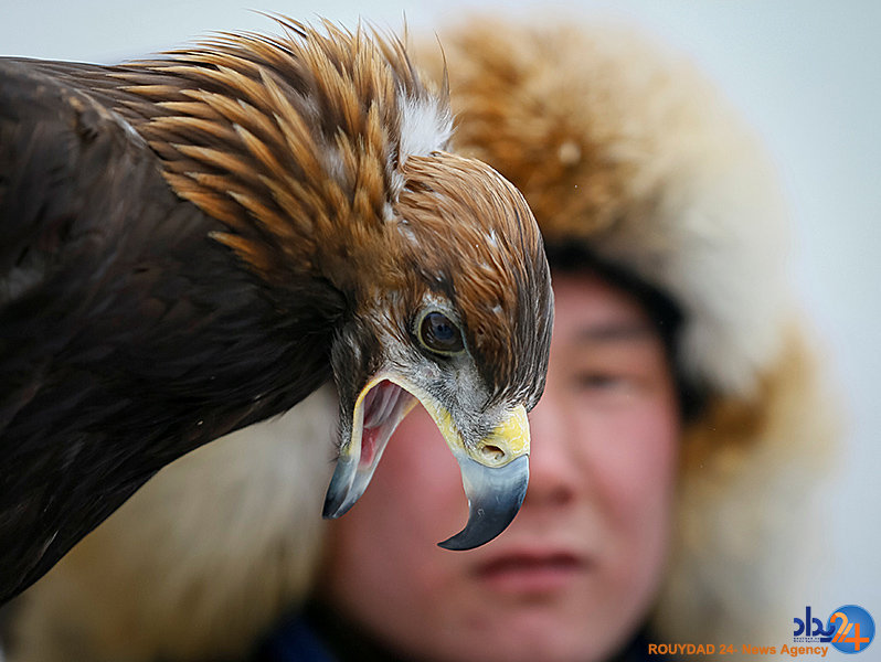 از اعتراضات به ترامپ تا دینداری به سبک تایلند از اعتراضات به ترامپ تا دینداری به سبک تایلند