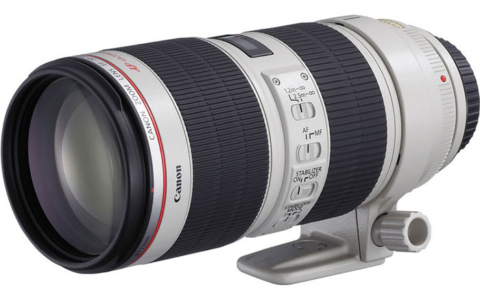 بهترین لنز پرتره کانن برای عکاسی عروسی بهترین لنز پرتره کانن برای عکاسی عروسی