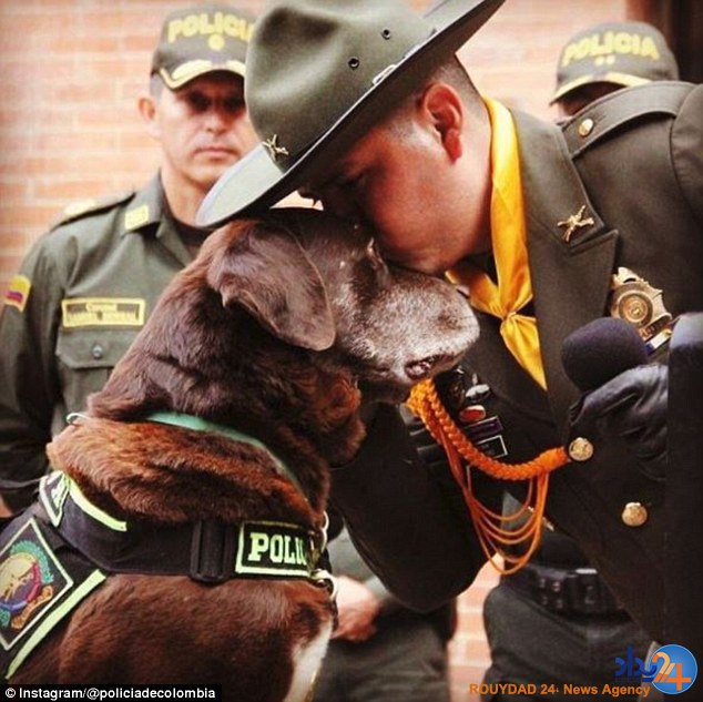 مراسم رسمی بازنشستگی سگ بمب‌یاب کلمبیایی (تصاویر)