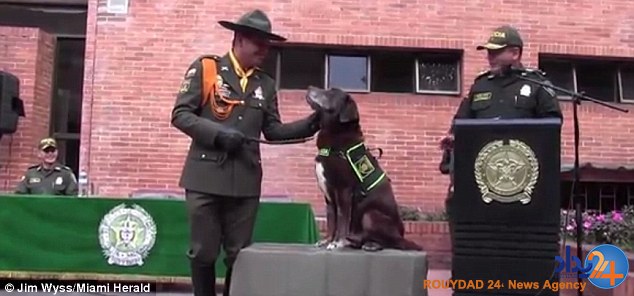 مراسم رسمی بازنشستگی سگ بمب‌یاب کلمبیایی (تصاویر)