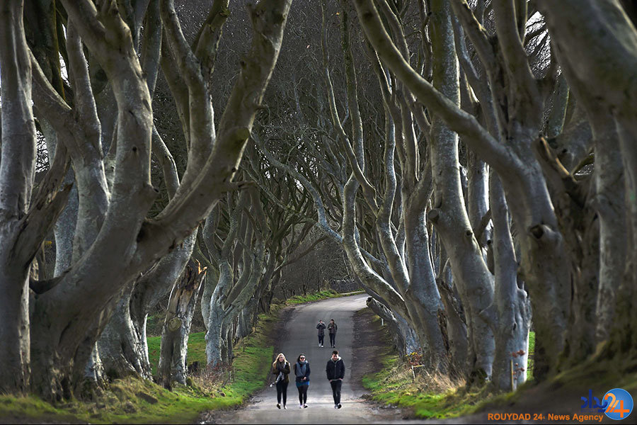 پایان فصل کارناوال پایان فصل کارناوال